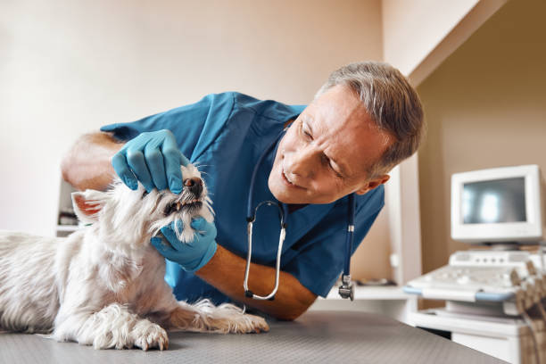 Best Emergency Treatment for Oral Infections in Cinco Ranch, TX